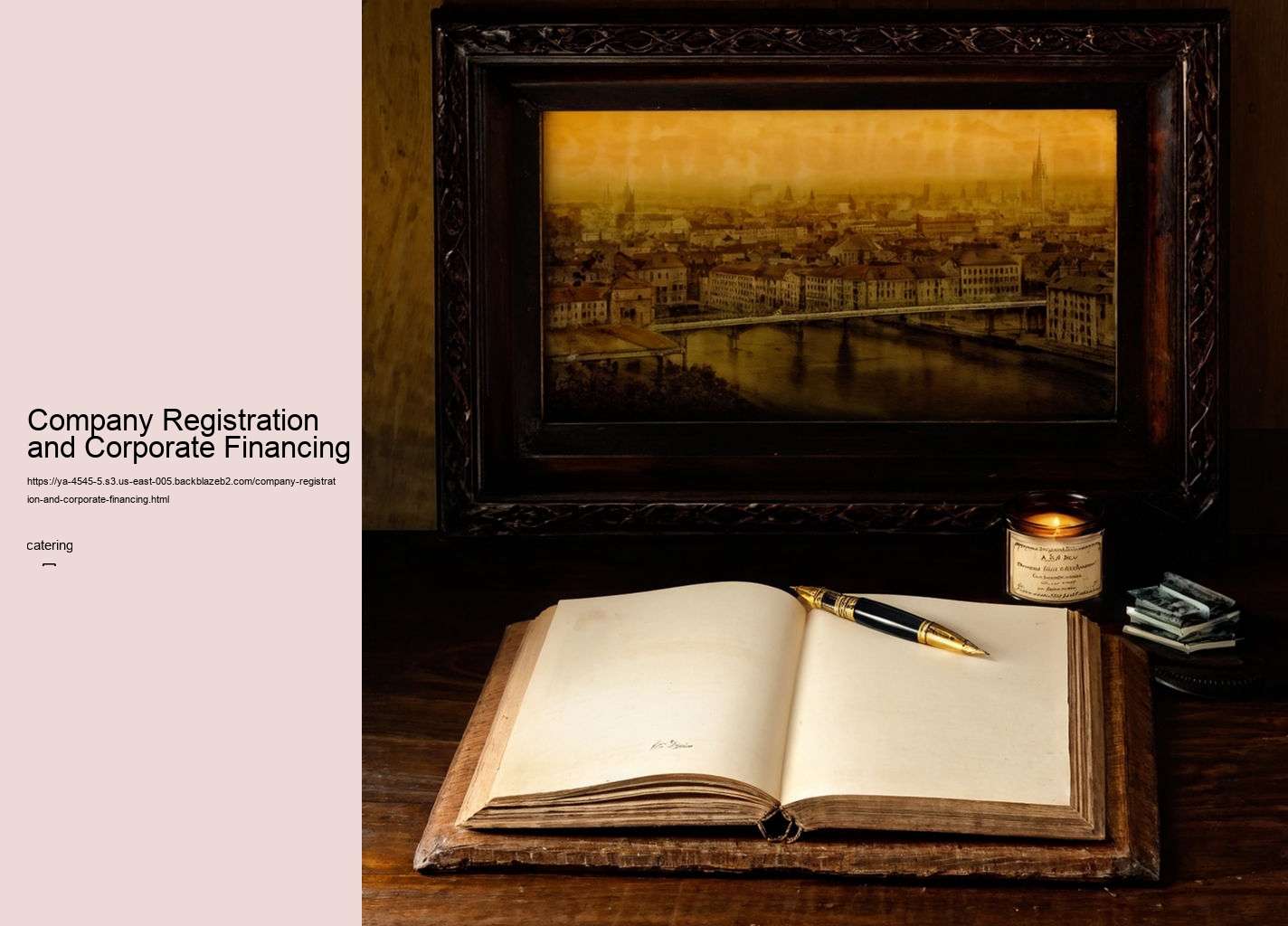 Company Registration and Corporate Financing