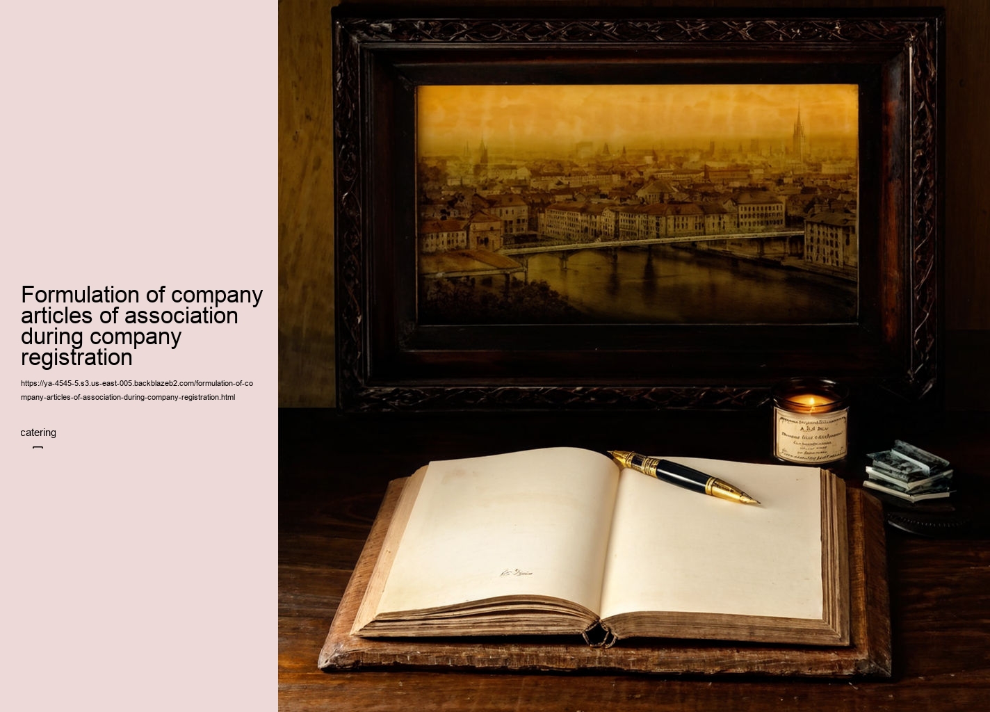 Formulation of company articles of association during company registration